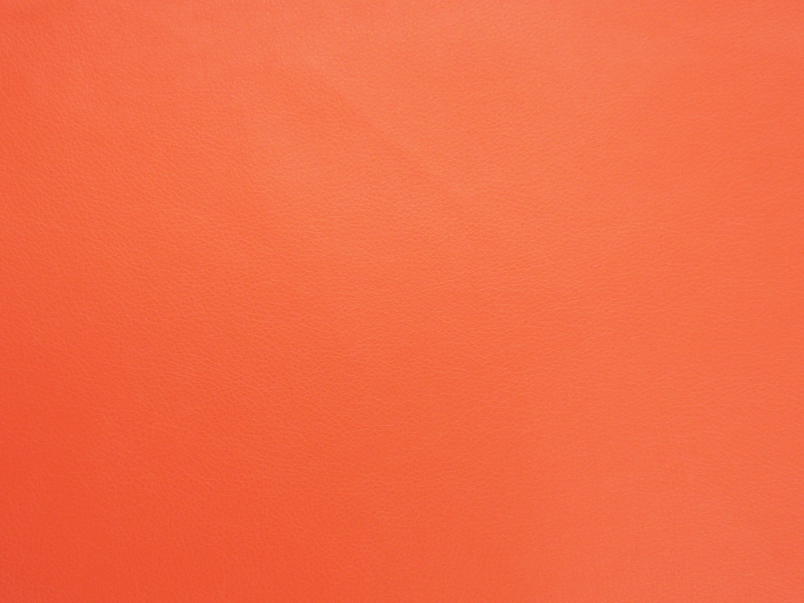 Memphis Paprika