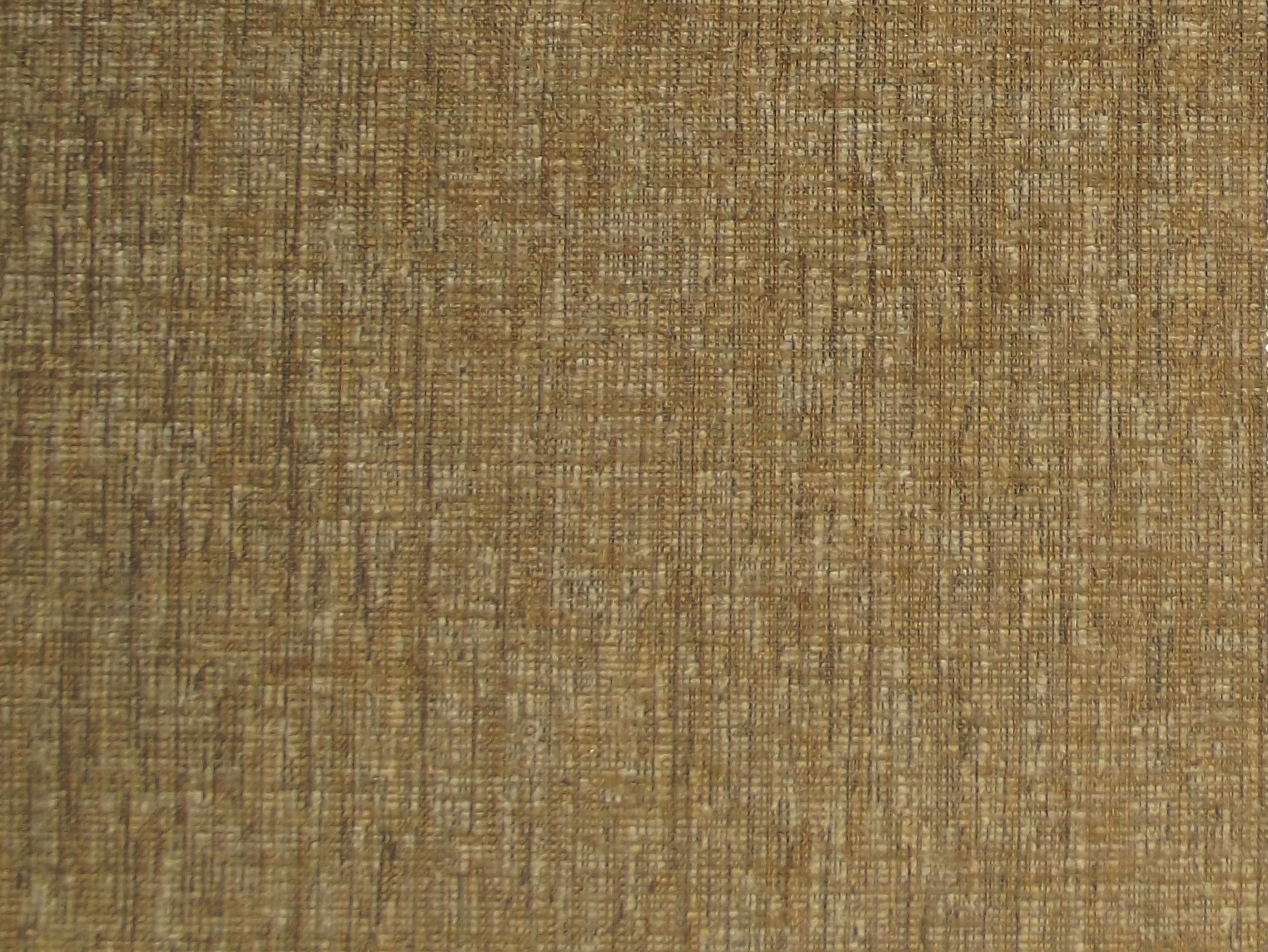 Montana Plain Nutmeg