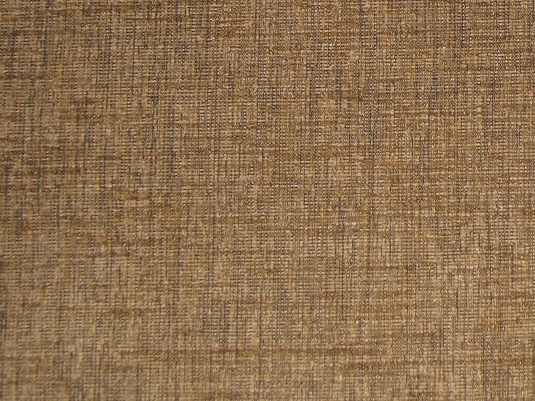 Montana Plain Cocoa