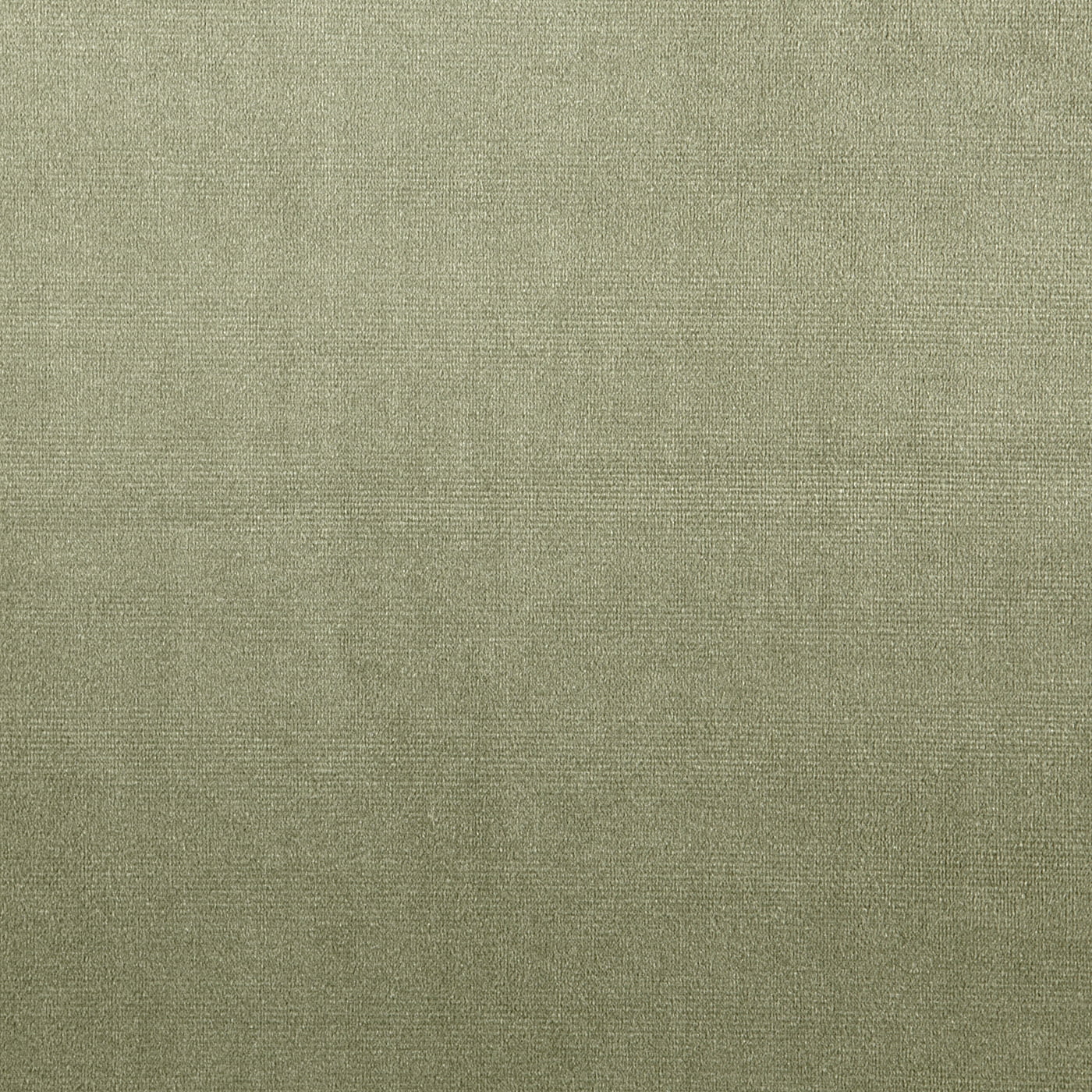 Velour Willow