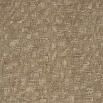 Rustic Camel