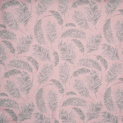 Pampas Grass Woodrose