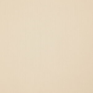 Piedmont 24 Champagne