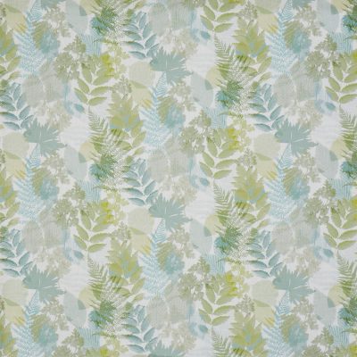 Forest Willow
