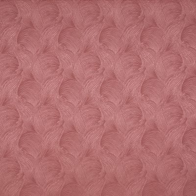 Bailey Raspberry