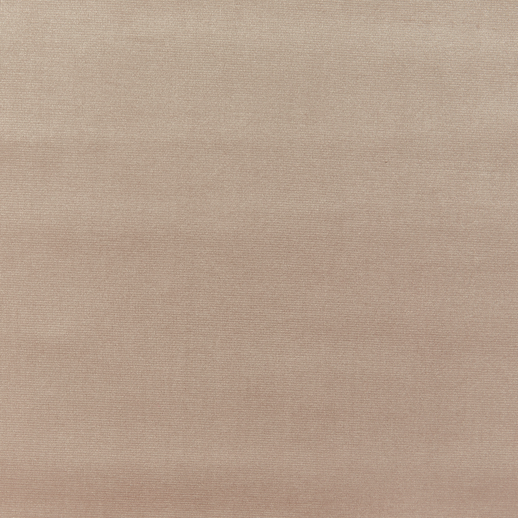 Velour Latte